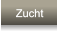 Zucht Zucht
